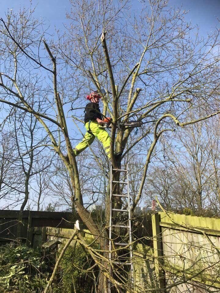 Garden landscaping work in progress by Robinson's Garden Services